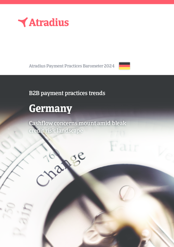 B2B 支付实践趋势 , 德国 2024
