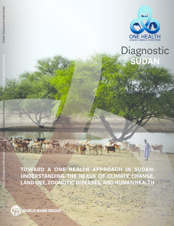 在苏丹寻求一种健康方法