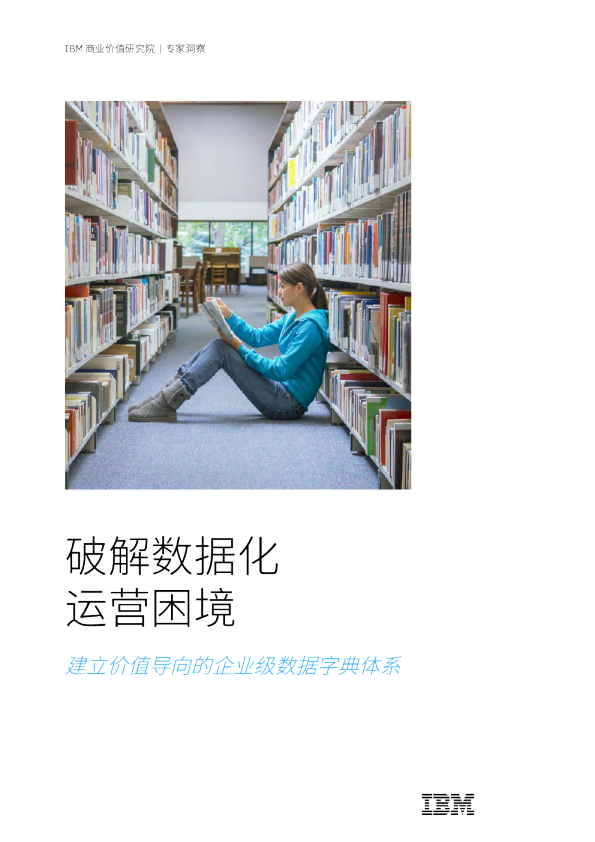 破解数据化运营困境建立价值导向的企业级数据字典体系