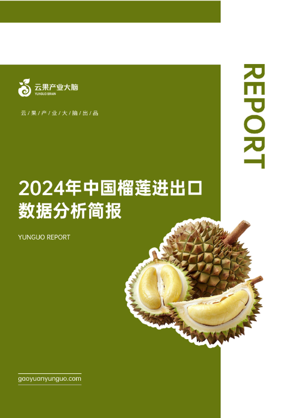 2024年中国榴莲进出口数据分析简报