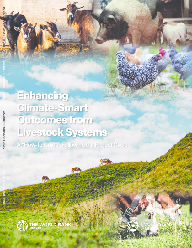 增强畜牧业系统的气候智能成果