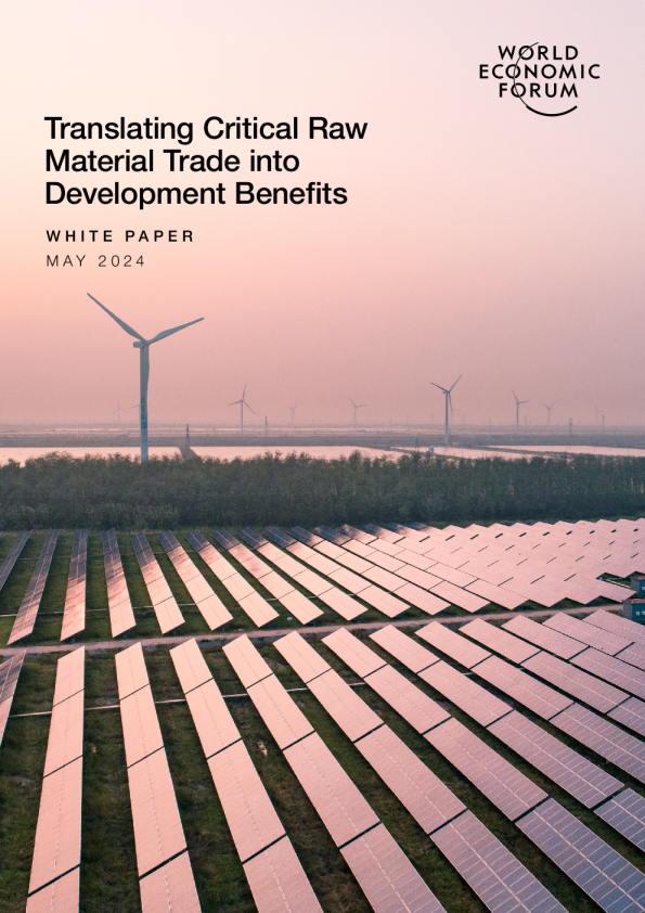 将关键原材料贸易转化为发展利益