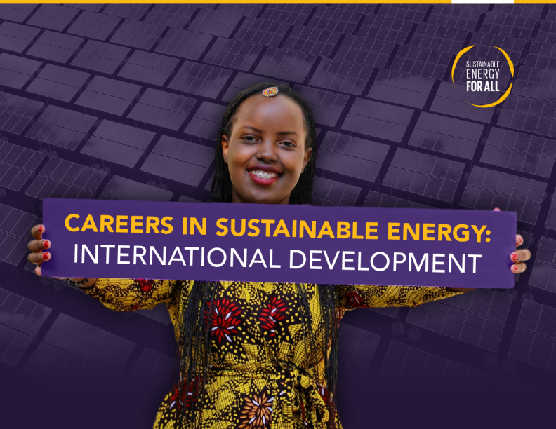可持续能源职业：国际发展