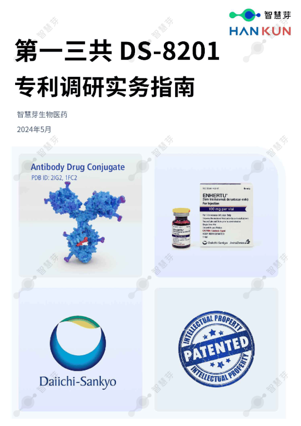2024第一三共DS-8201专利调研实务指南报告