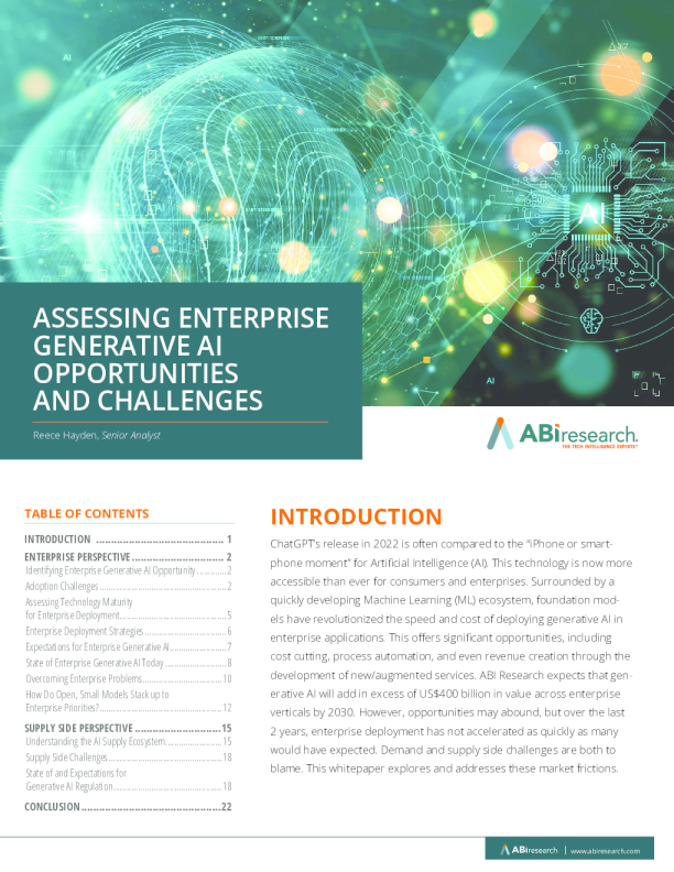 2024 年生业级生成式 AI 的机遇与争论不休评估白皮书