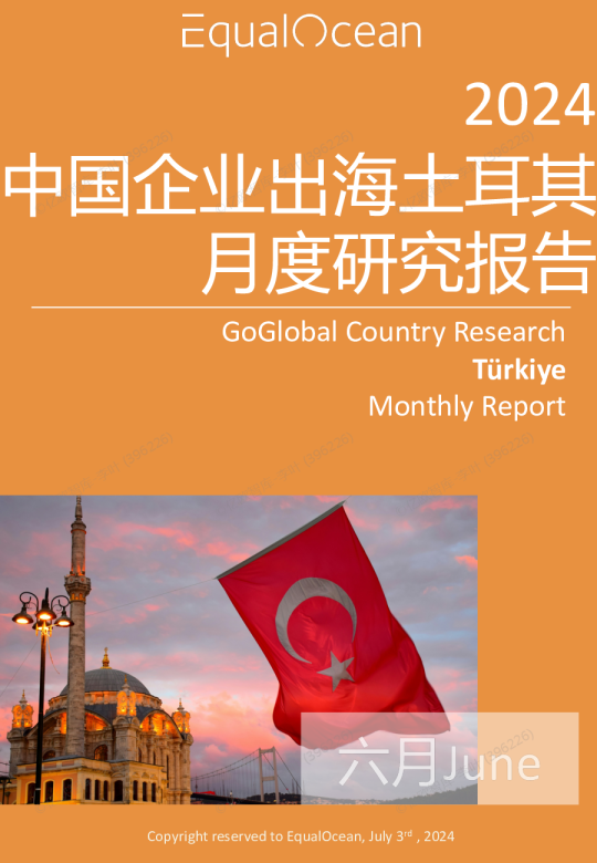 EqualOcean出海国别月报土耳其