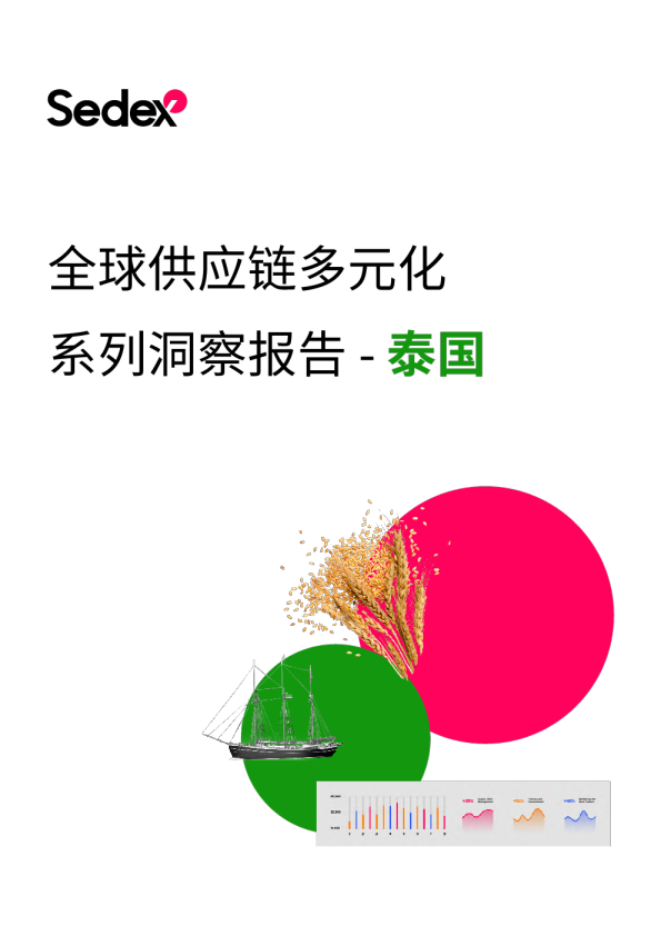 全球供应链多元化系列洞察报告