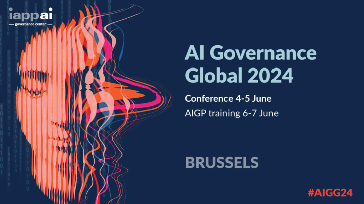 Develop a robust AI safety and governance plan