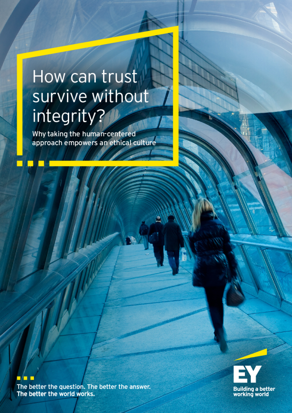 2024 年全球完整性报告