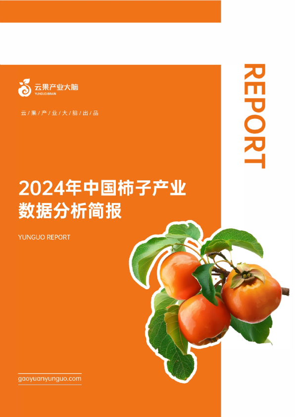 云果：2024年中国柿子产业数据分析报告