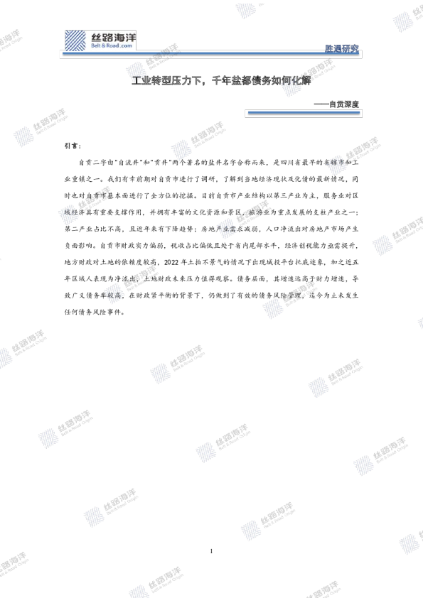 自贡深度：工业转型压力下，千年盐都债务如何化解