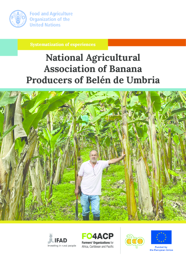 Bel é n de Umbria 香蕉生产者全国农业协会