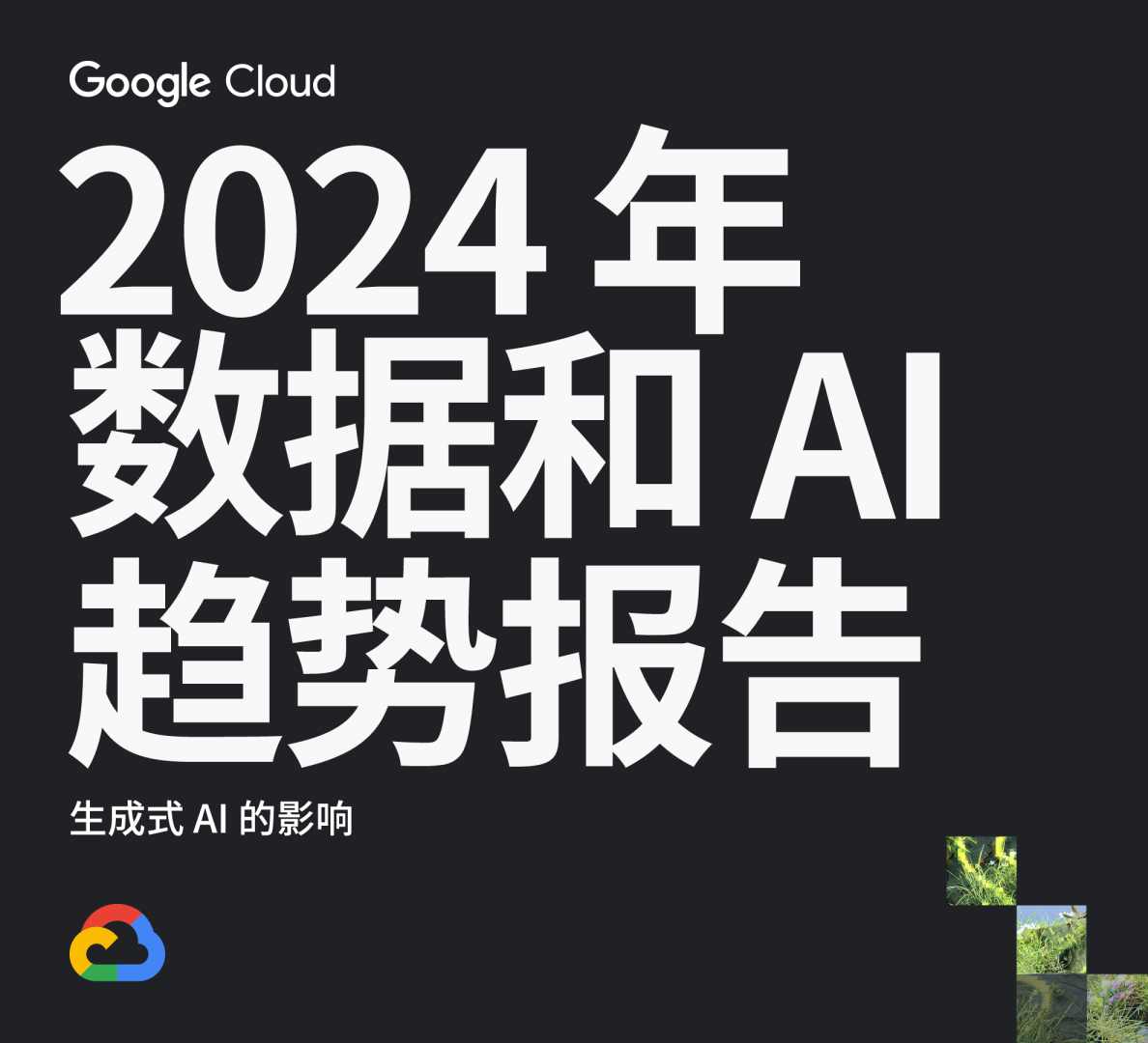 2024年数据和AI趋势报告