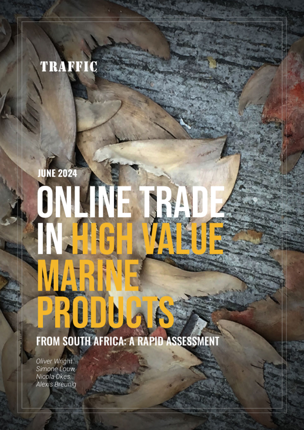 南非高价海洋产品的在线贸易