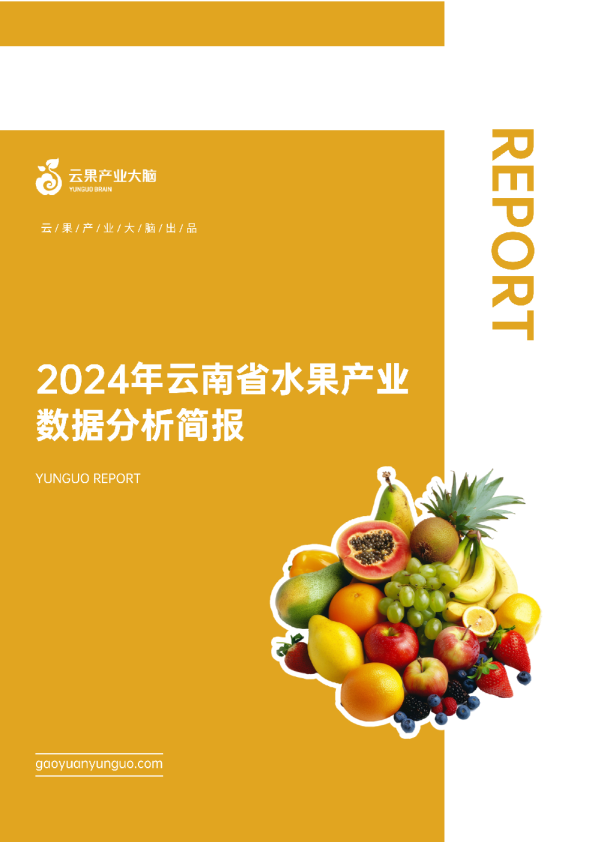 云果：2024年云南省水果产业数据分析报告