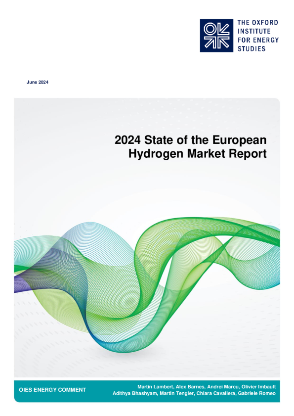 牛津大学能源研究所：2024欧洲氢能市场现状报告