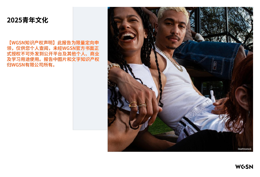 2025青年文化报告