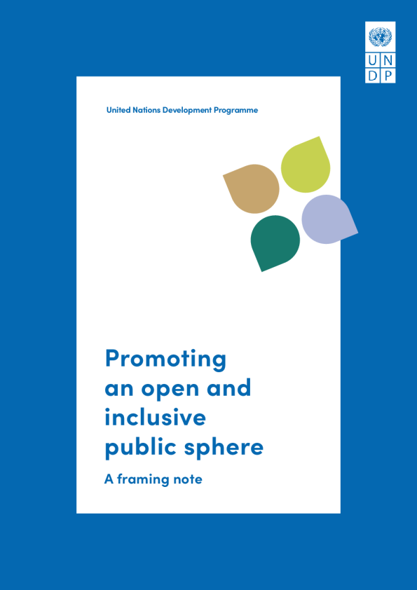 促进开放和包容的公共领域2024