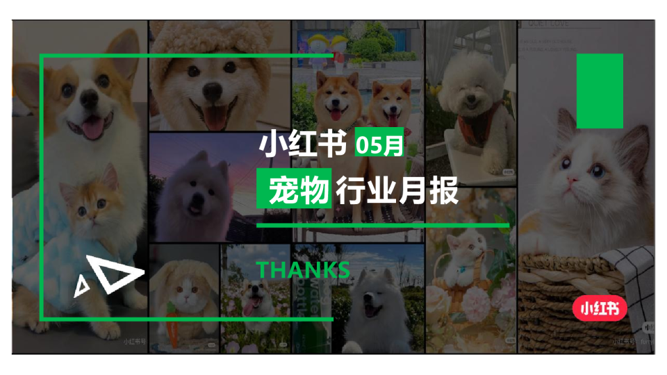 2024年宠物行业月报（5月）