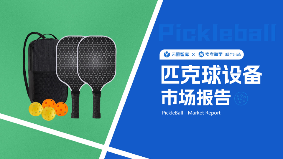 2024匹克球设备市场分析报告