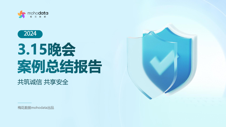 2024年3.15晚会案例总结报告