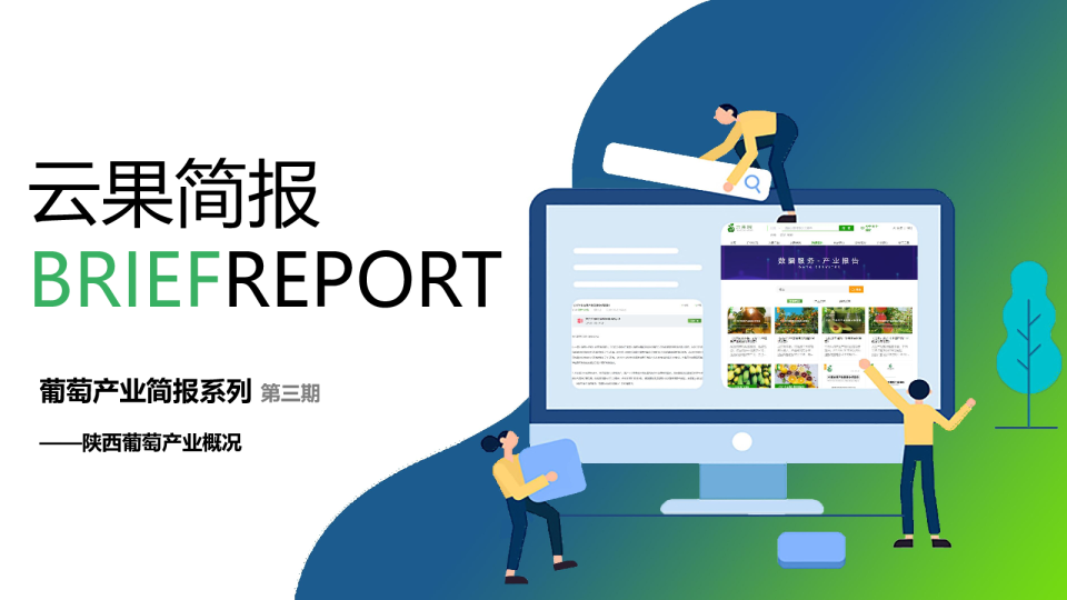 陕西省葡萄产业概况