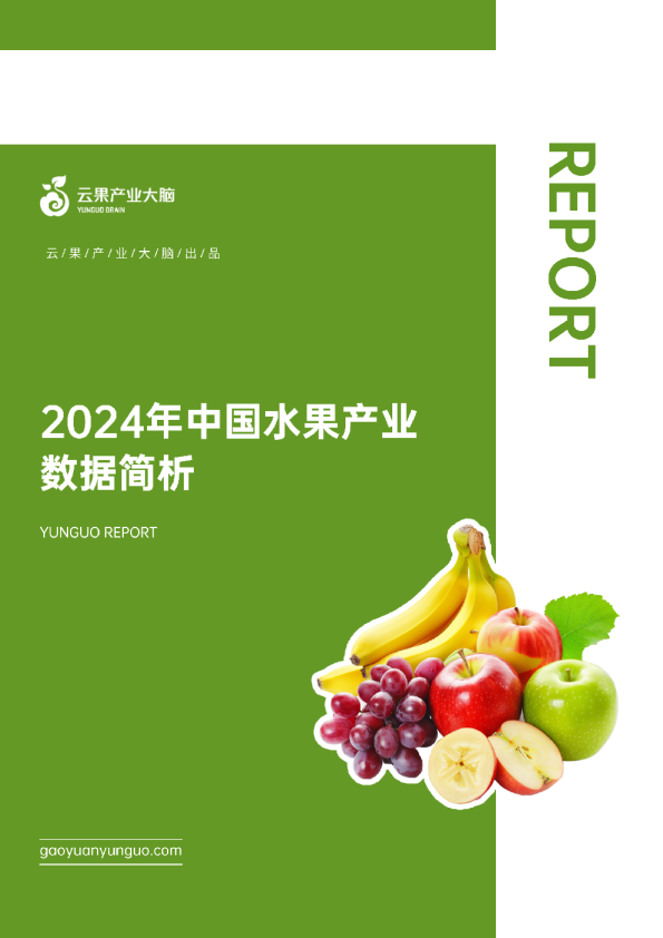 2024年中国水果产业数据简析