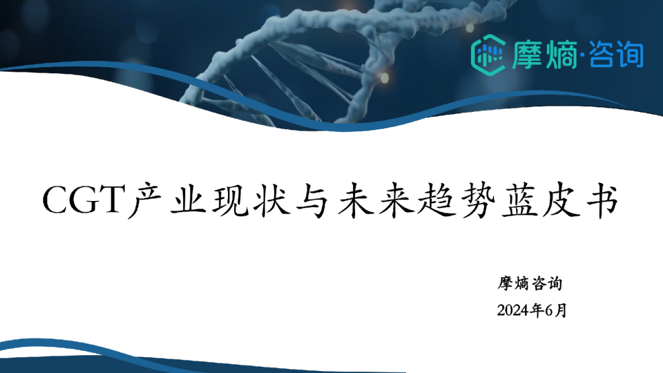CGT产业现状与未来趋势蓝皮书