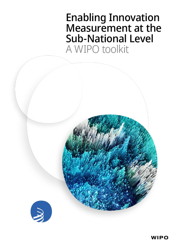 在国家以下层面实现创新测量