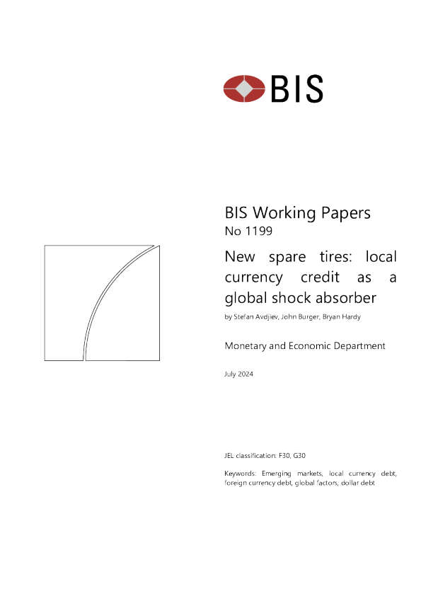 新备胎：本币信贷作为全球减震器