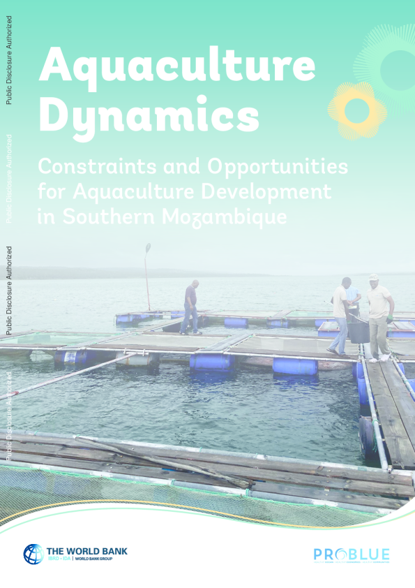 水产养殖动态：莫桑比克南部水产养殖发展的制约因素和机遇2024