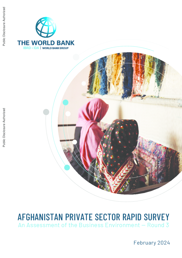 阿富汗私营部门快速调查——商业环境评估：第三轮2024