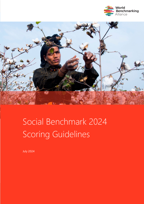 2024年社会基准评分指南