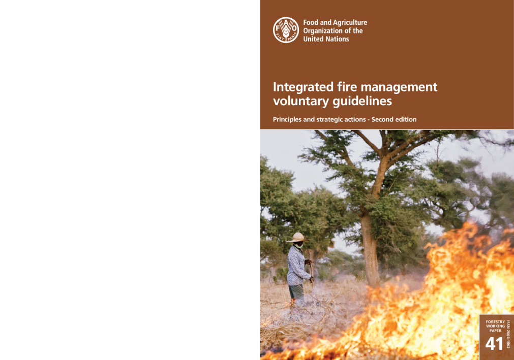 2024综合消防管理自愿指南报告