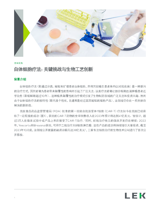 2024自体细胞疗法：关键挑战与生物工艺创新研究报告