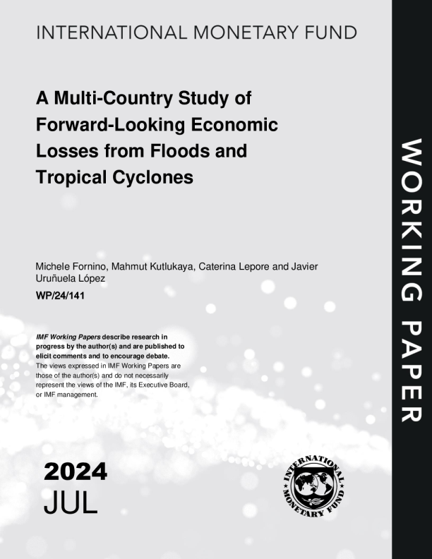 洪水和热带气旋前瞻性经济损失的多国研究