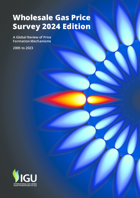 2024年天然气批发价格调查报告