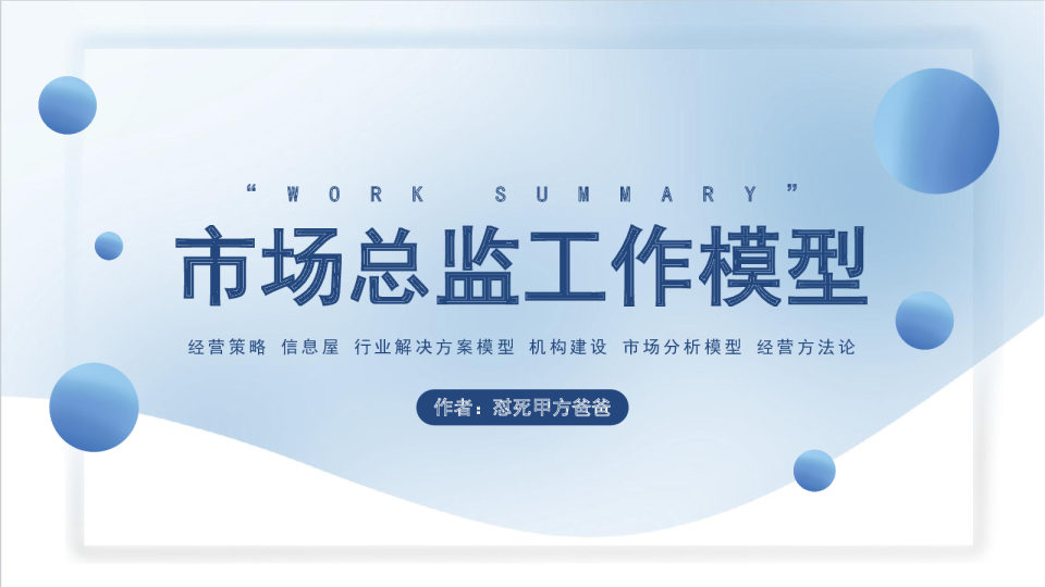 市场销售总监工作模型（经营策略 信息屋 行业解决方案模型 机构建设 市场分析模型 经营方法论）
