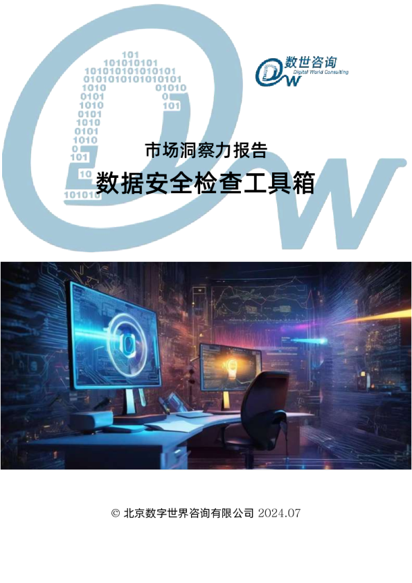 2024市场洞察力报告-数据安全检查工具箱