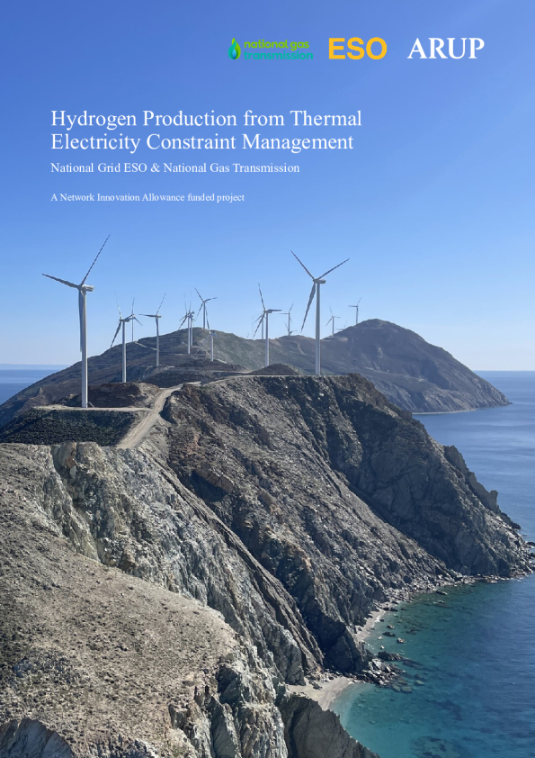 Hydrogen Production from Thermal Electricity Constraint Management