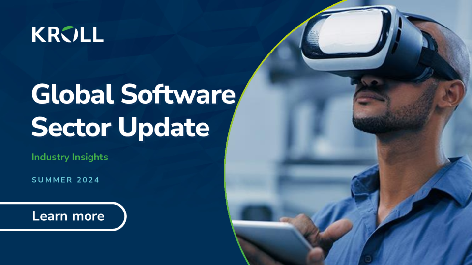 全球软件部门更新 - 2024 年夏季