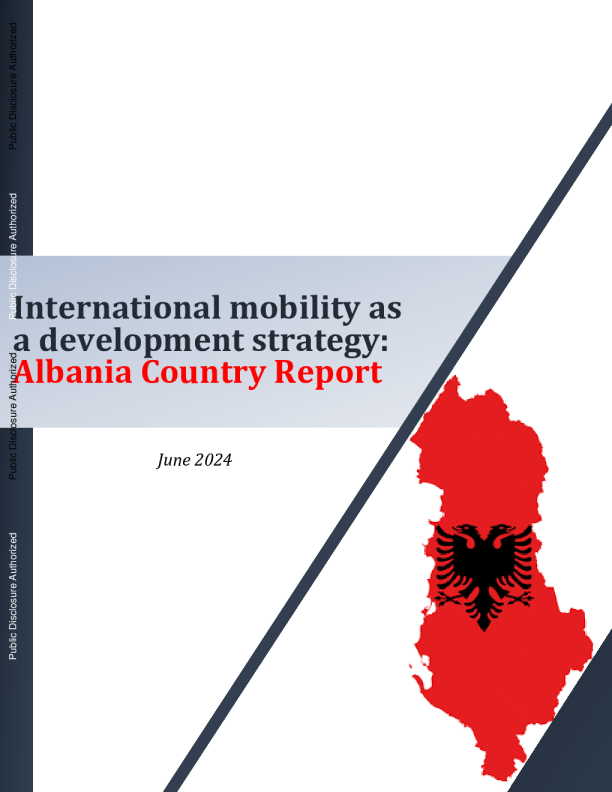 作为发展战略的国际流动