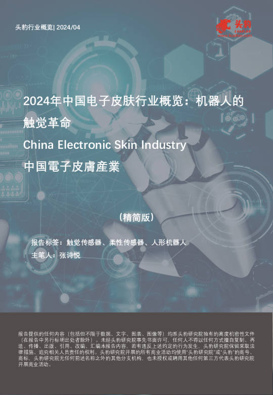 2024年中国电子皮肤行业概览：机器人的触觉革命（摘要版）