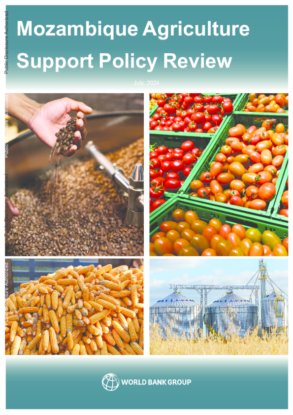 莫桑比克 - 农业支持政策审查