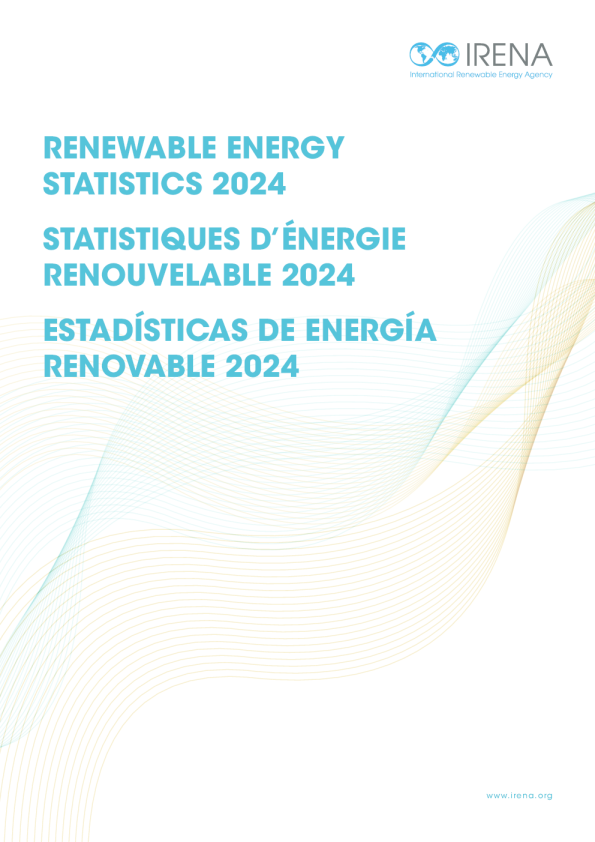 2024年可再生能源统计