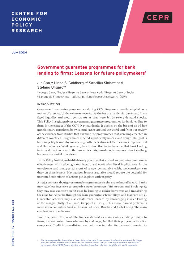 政府对银行向企业贷款的担保计划：未来政策制定者的经验教训