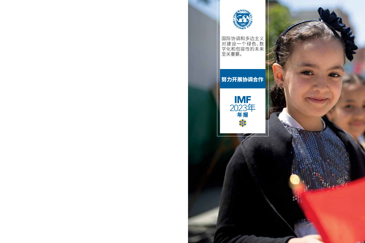 Chinese 2023 IMF 努力开展协调合作