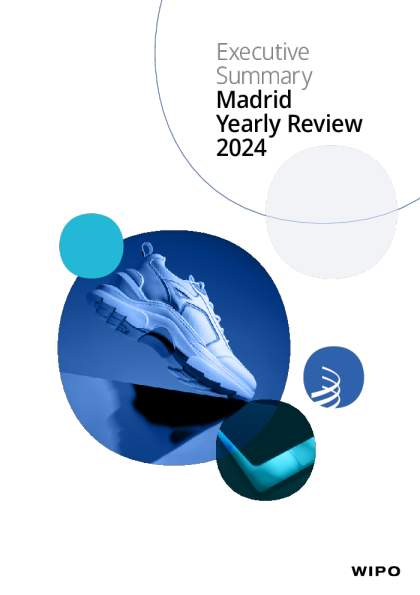 马德里年鉴 2024 - 执行摘要