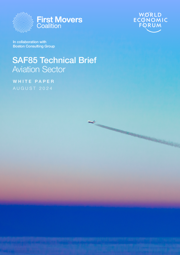 SAF85 技巧简报 ： 航空部门(汉)