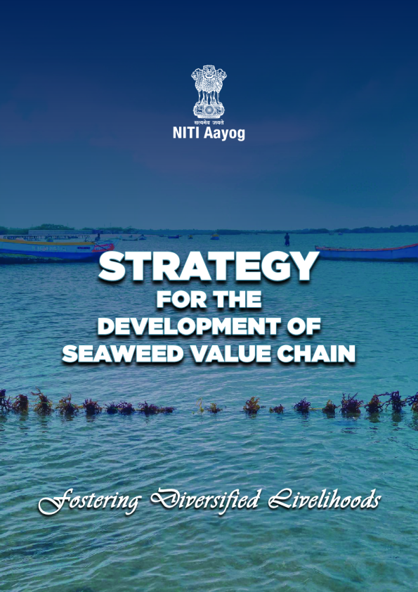 海藻价值链发展战略